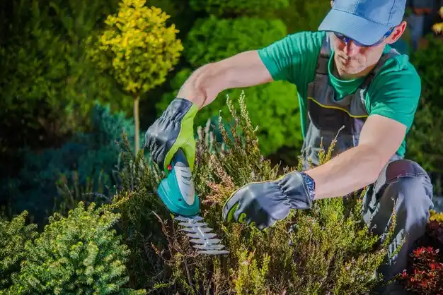 landscaping services Vaiden